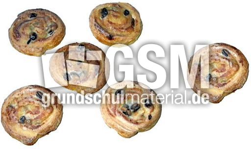 R-schnecken5+1.jpg